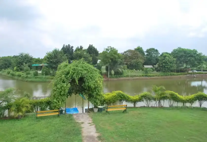 Green Park Dimapur