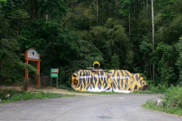 Dampa Tiger Reserve: Exploring the Hidden Wilderness